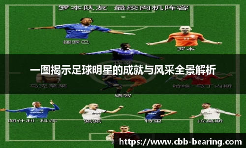 一图揭示足球明星的成就与风采全景解析